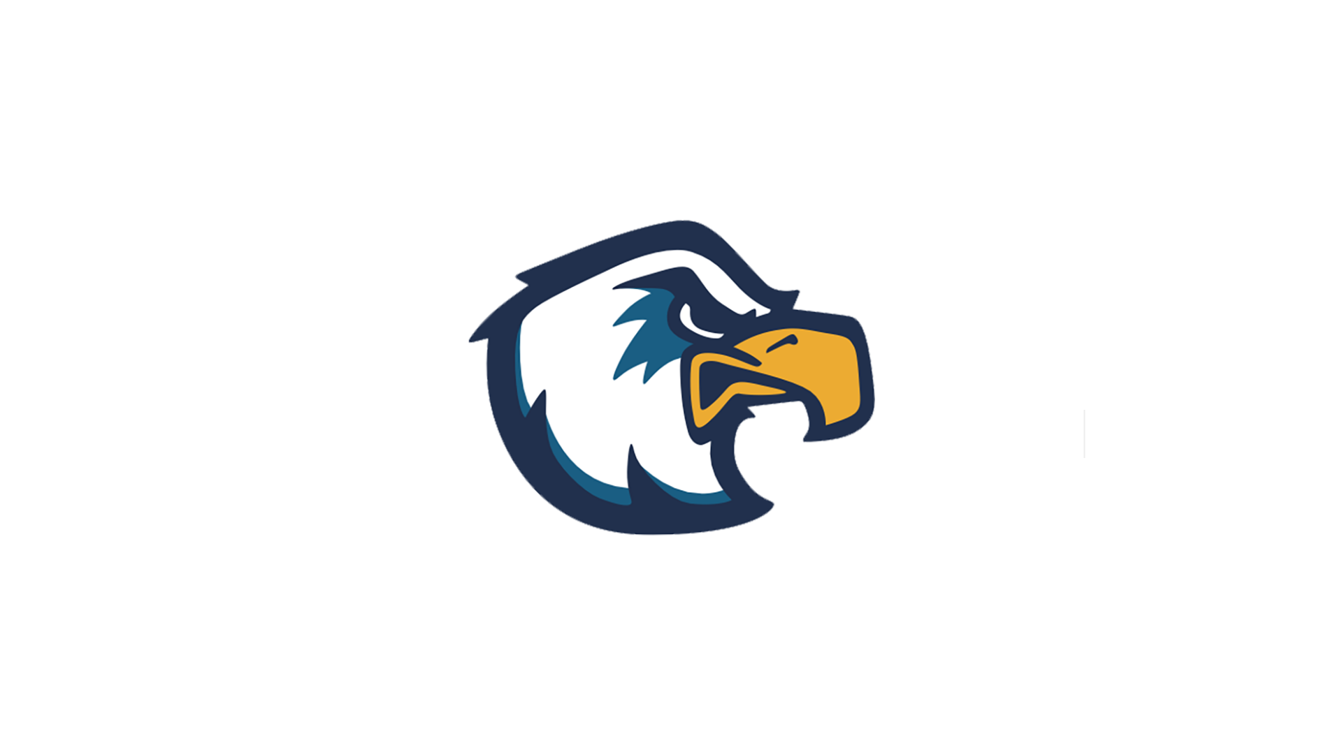 Clark State takes on Southern State...  Eagles lost a Close one at home to Express